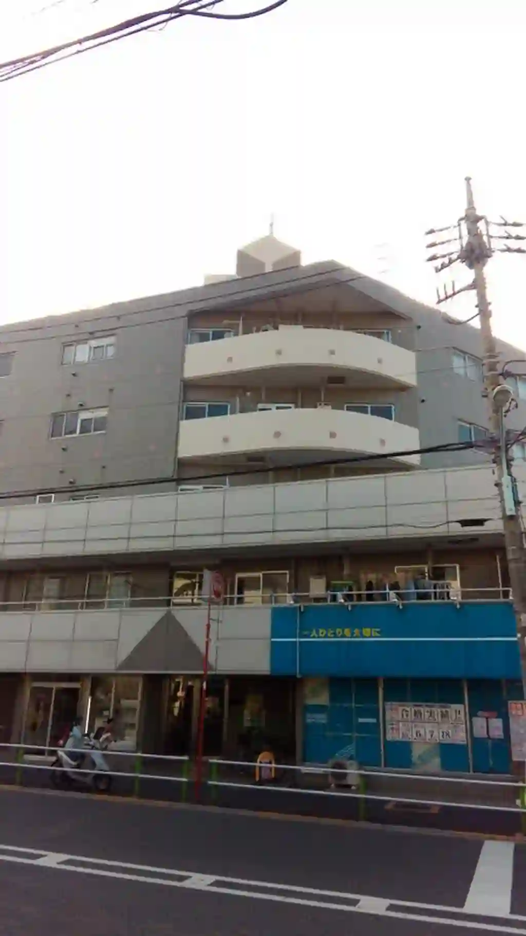 シルバーカーネル 外観
