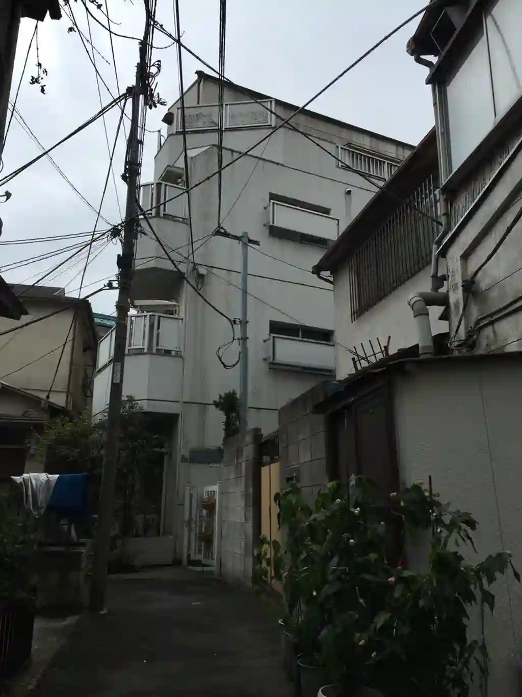 トップヒル早稲田 外観