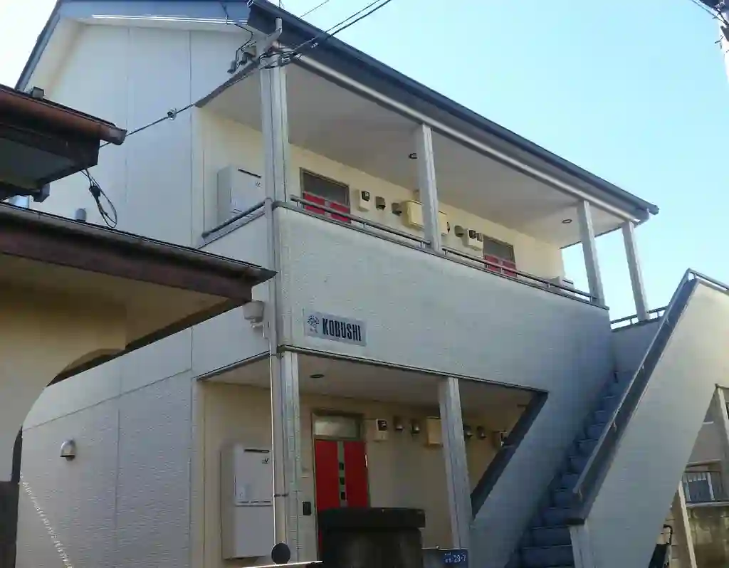 コブシ 外観