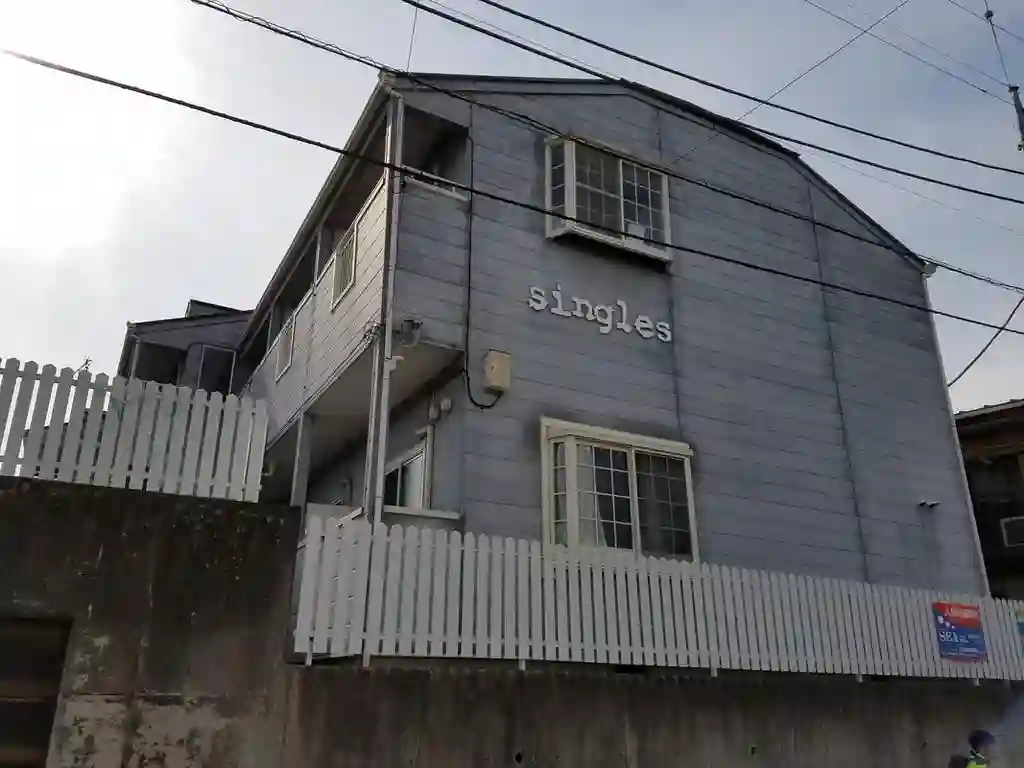 シングルス 外観