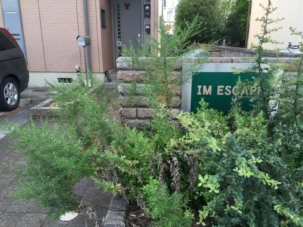 IM ESCAPE 外観