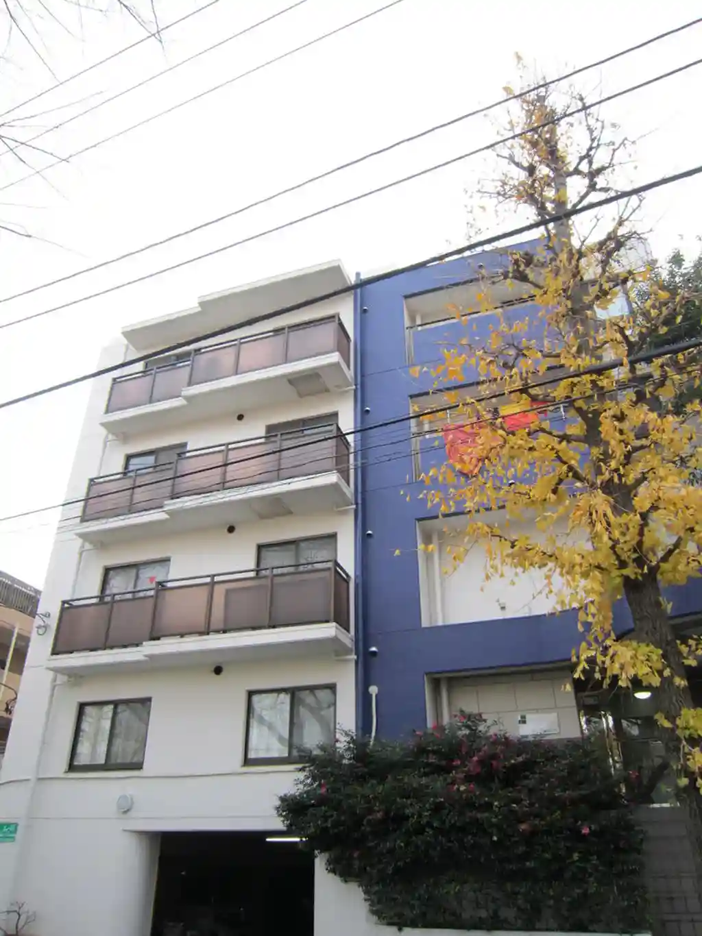 葵マンション 外観