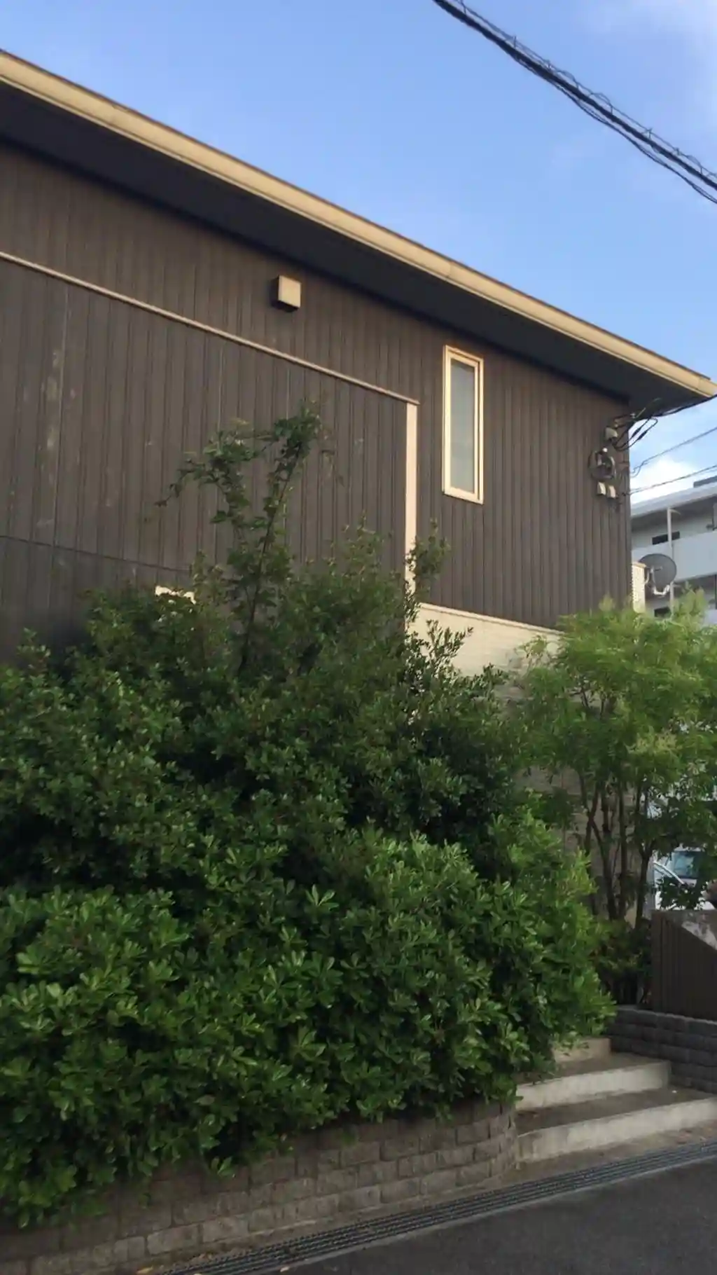 ルミノシーテD 外観