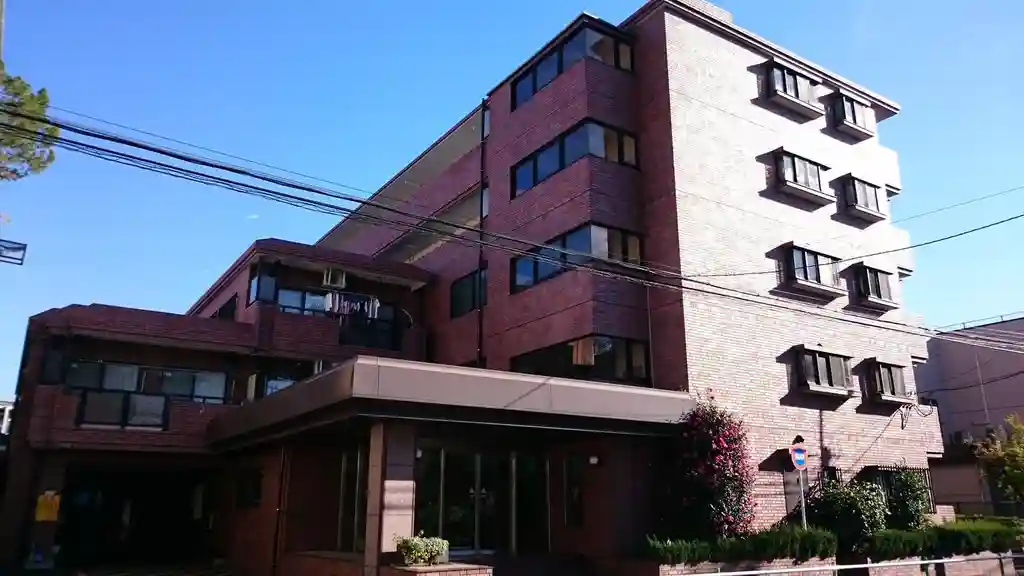 エクロール蓮根 外観