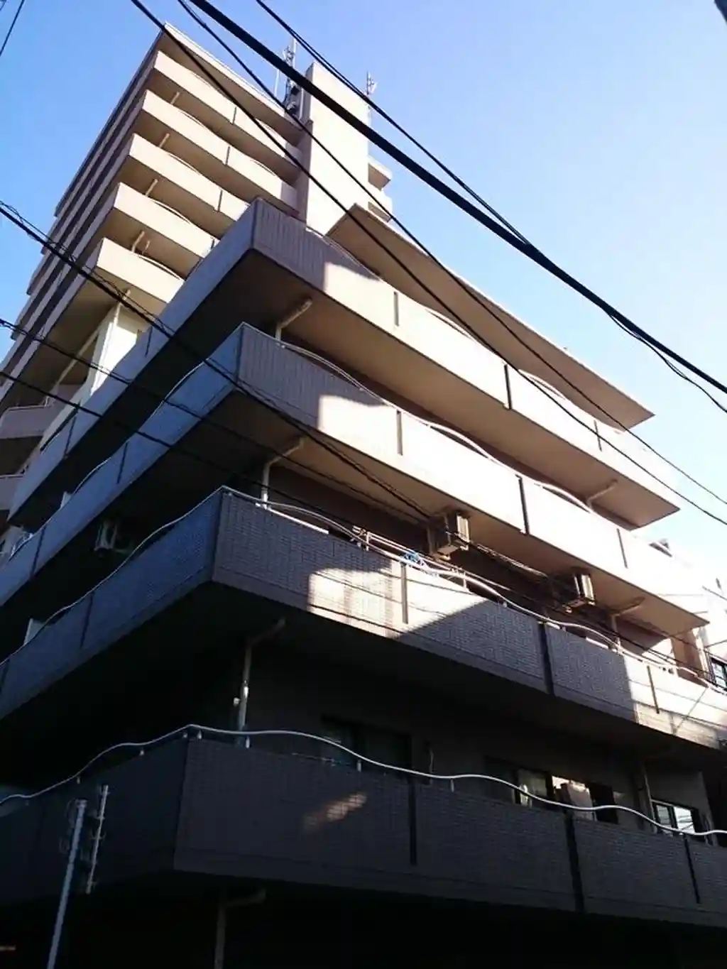 オリンポス隅田公園弐号館 外観