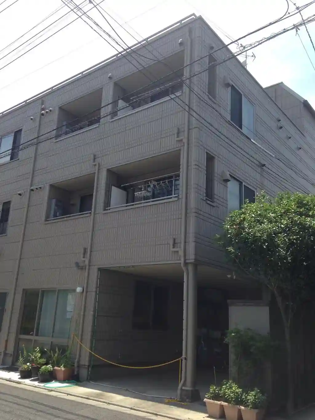 S 外観
