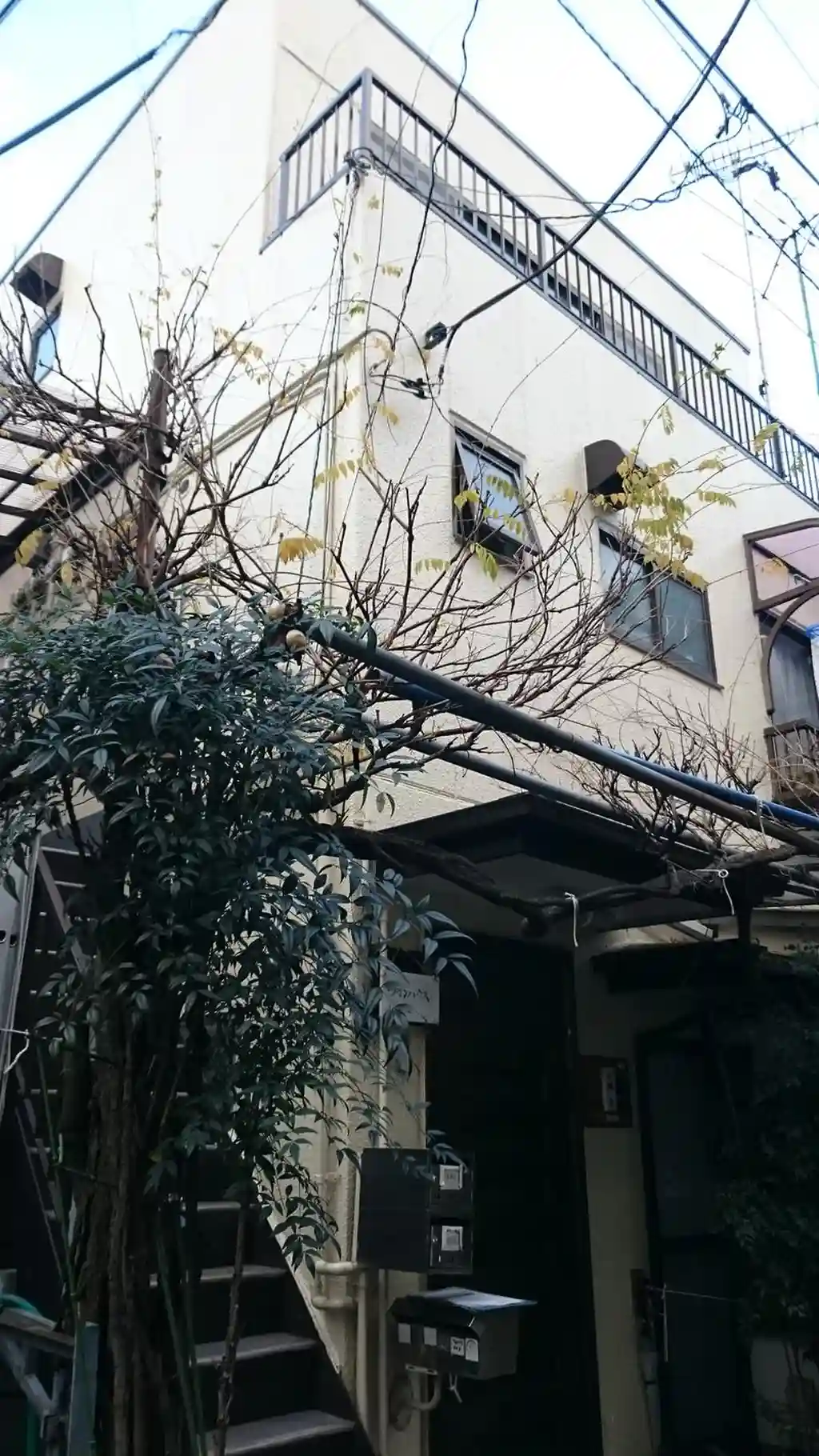 ツインハウス 外観