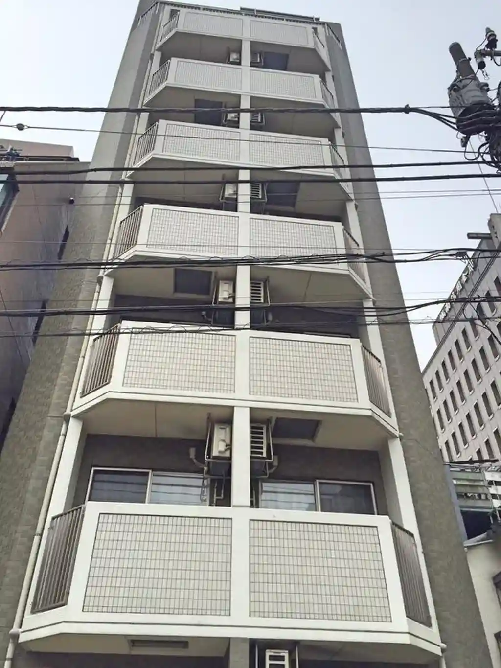 Paddy 外観
