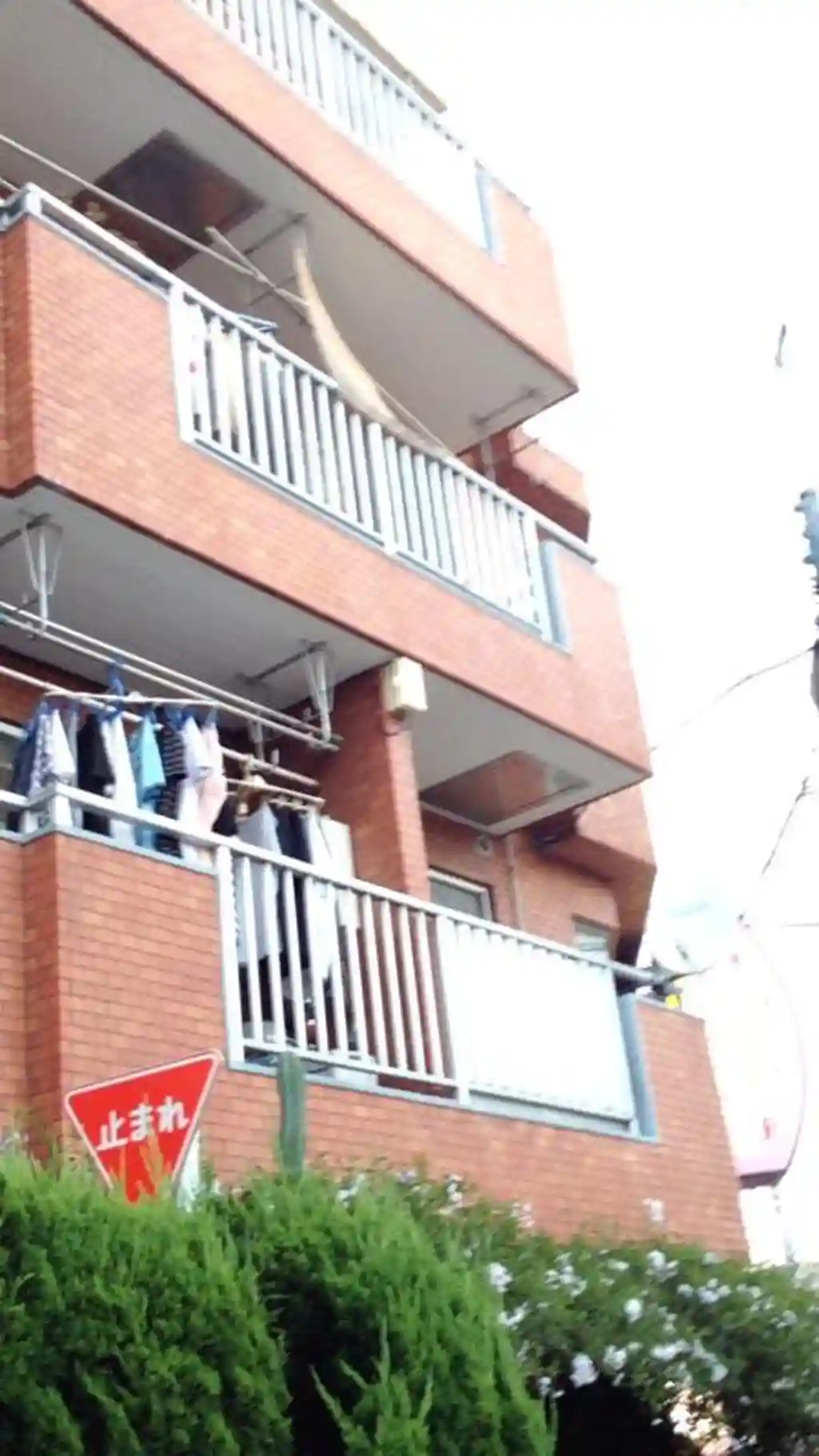 太閤江古田マンション 外観