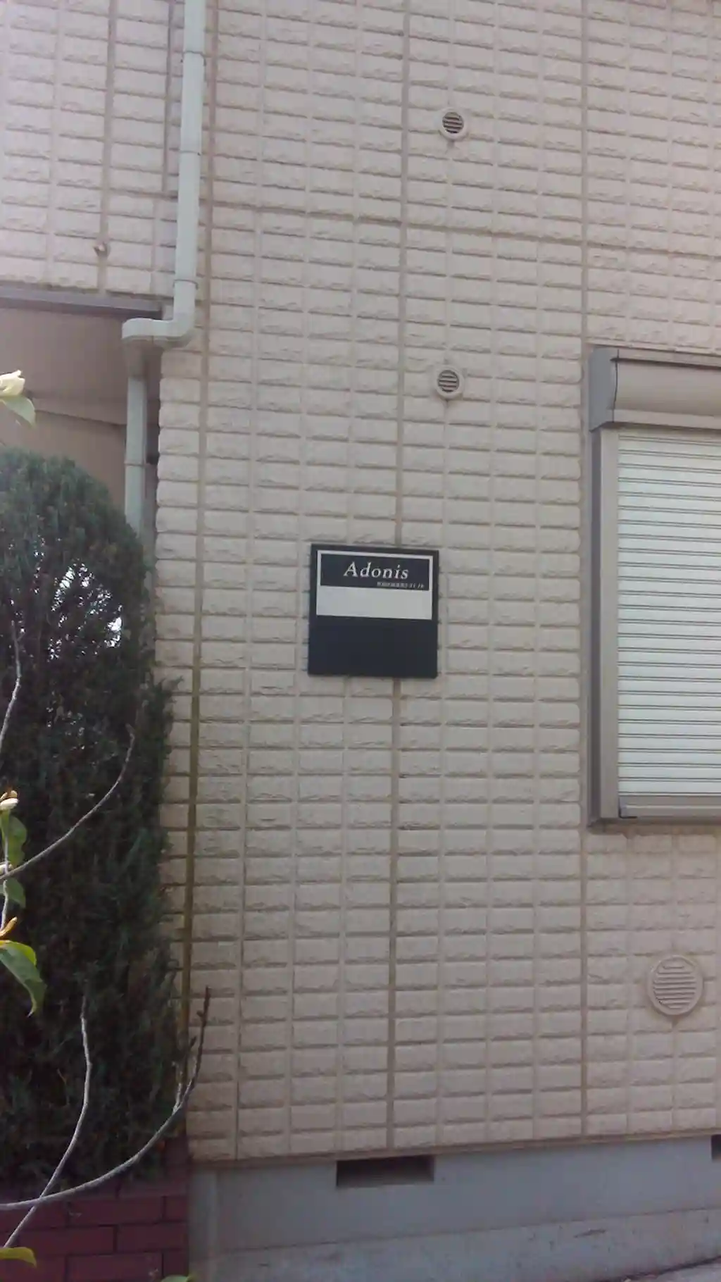 Adonis 外観