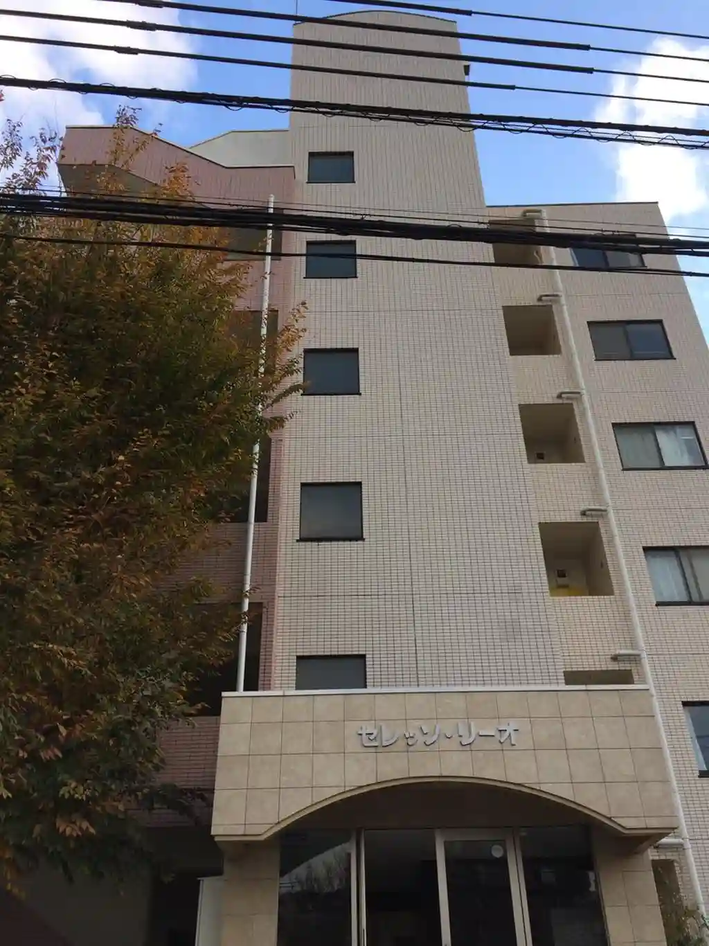 セレッソリーオ 外観