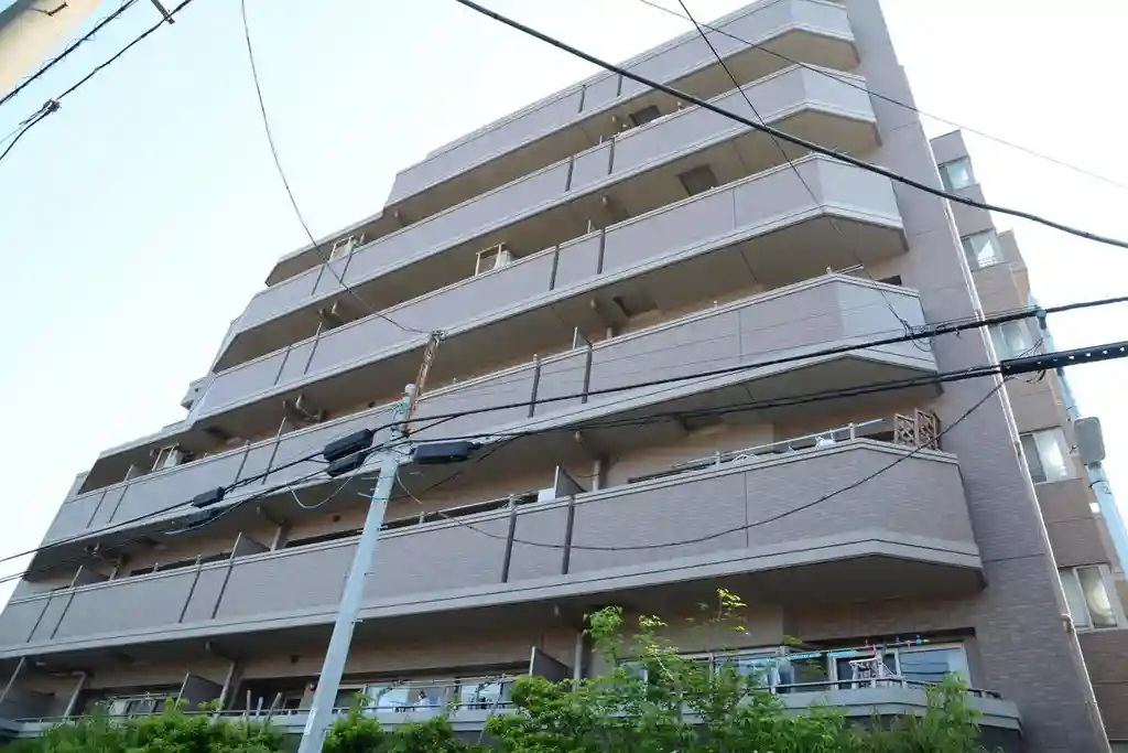 ナイスブライトピア新川崎 外観