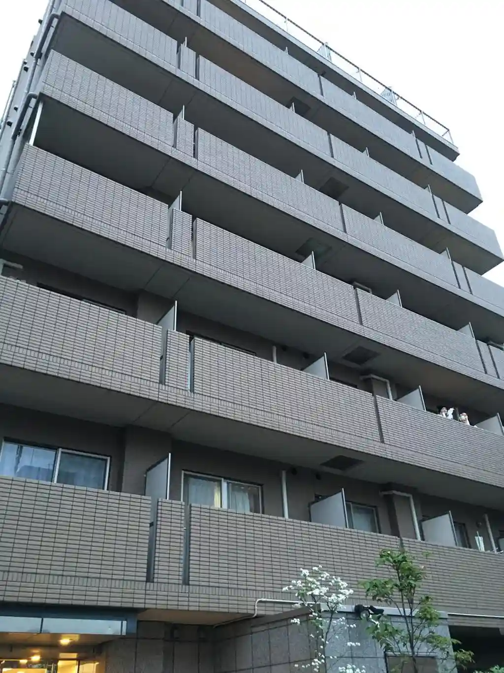 パレステュディオ白金 外観