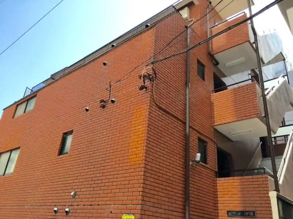 セザール伊東 外観