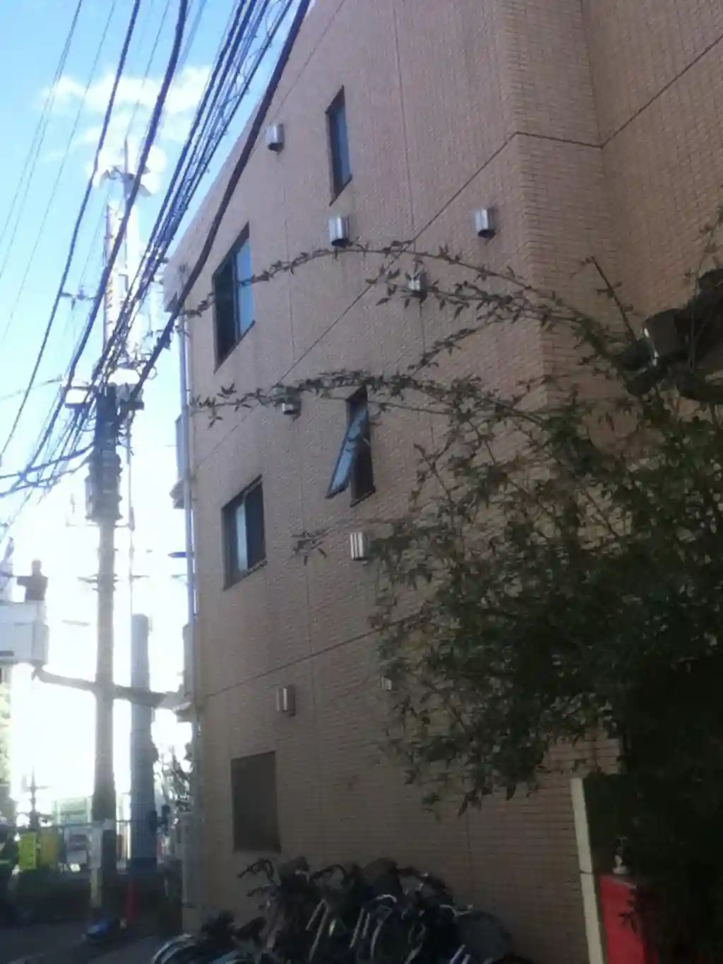 ビラコデマリ 外観