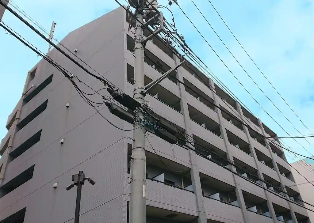 ドミール目白北東製粉株ビル 外観