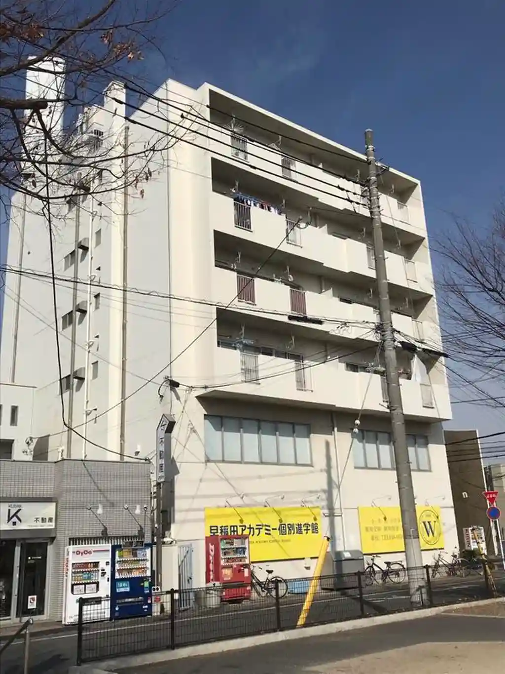明邦ワラビ 外観