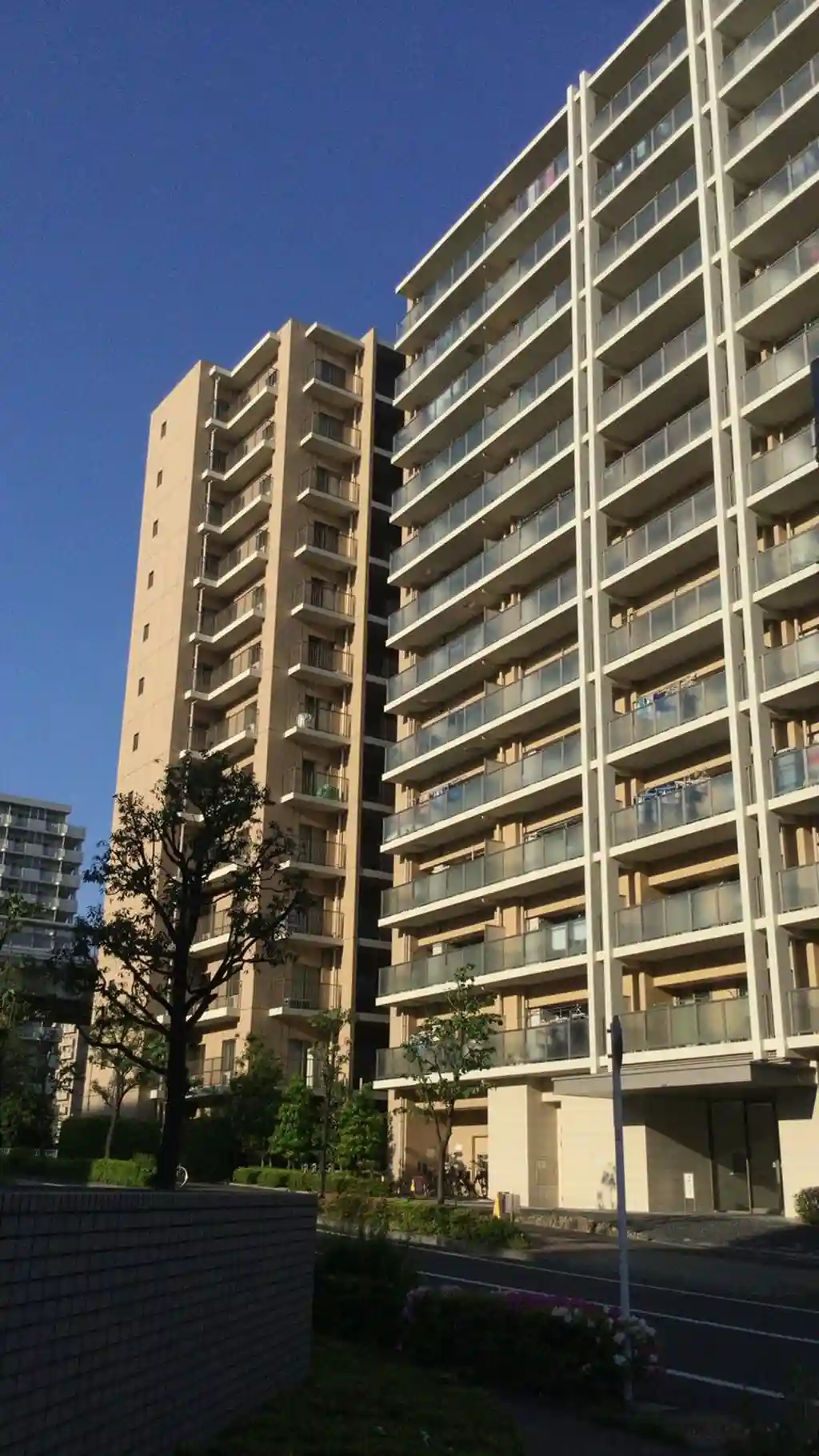 キャピタルガーデン東大島ソレア 外観