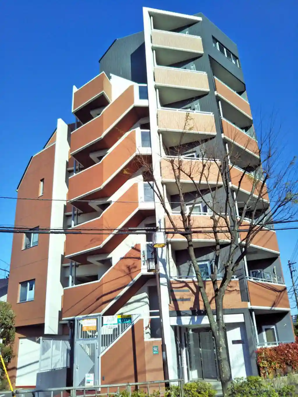 クラリティMS 外観