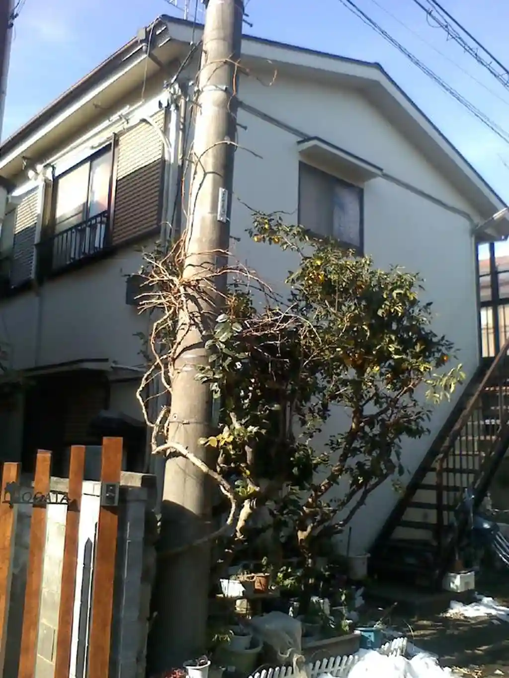 さがみハイツ 外観