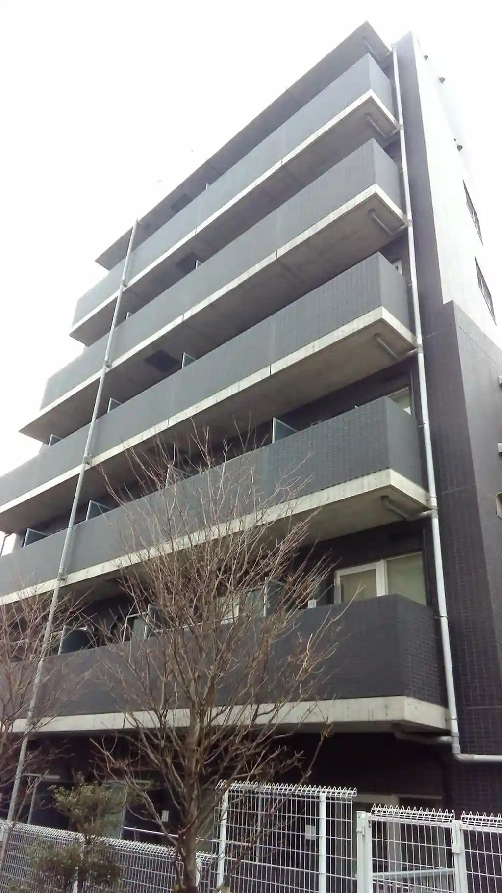 サンウッド目白台 外観