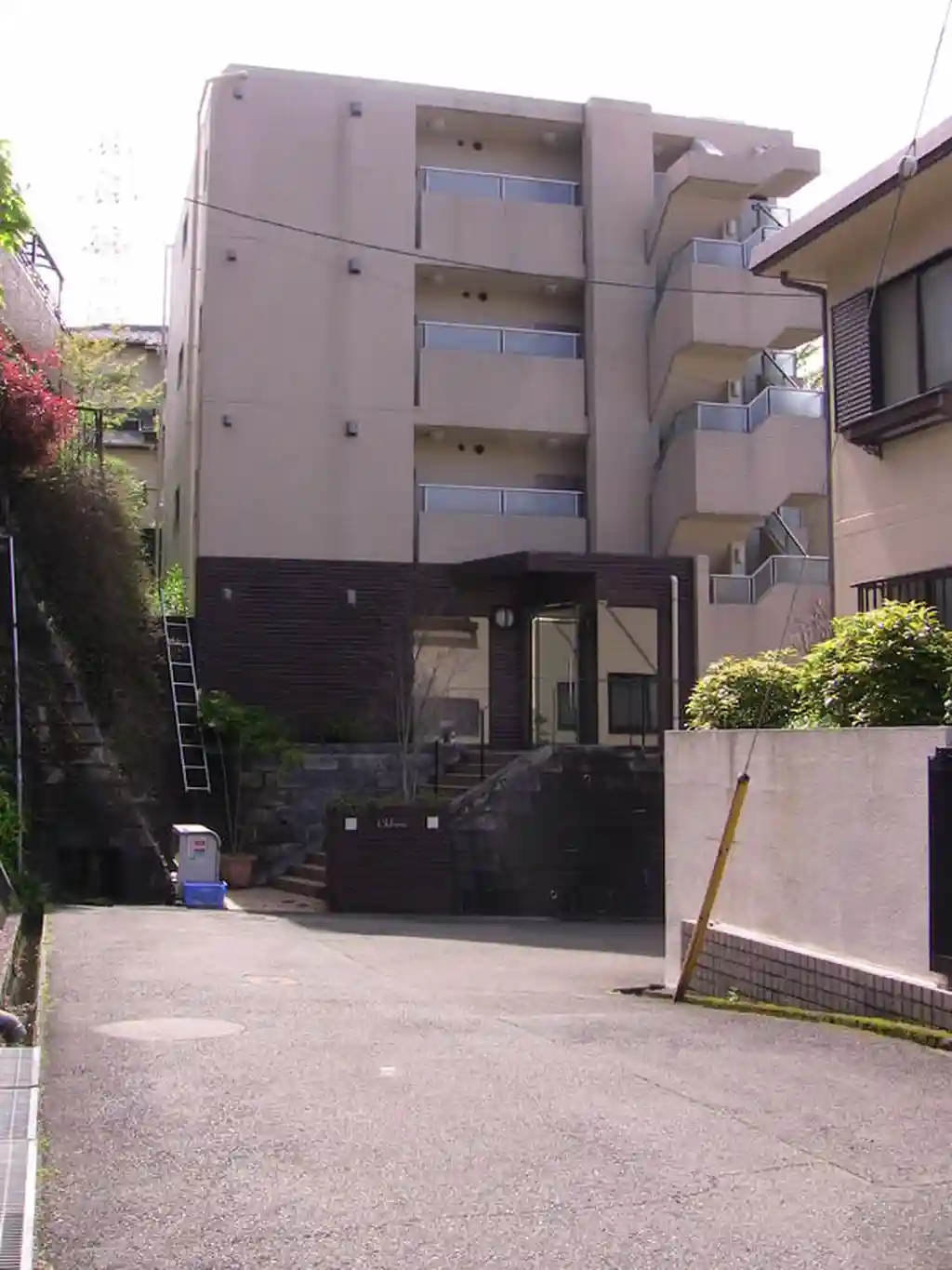 クロリス 外観