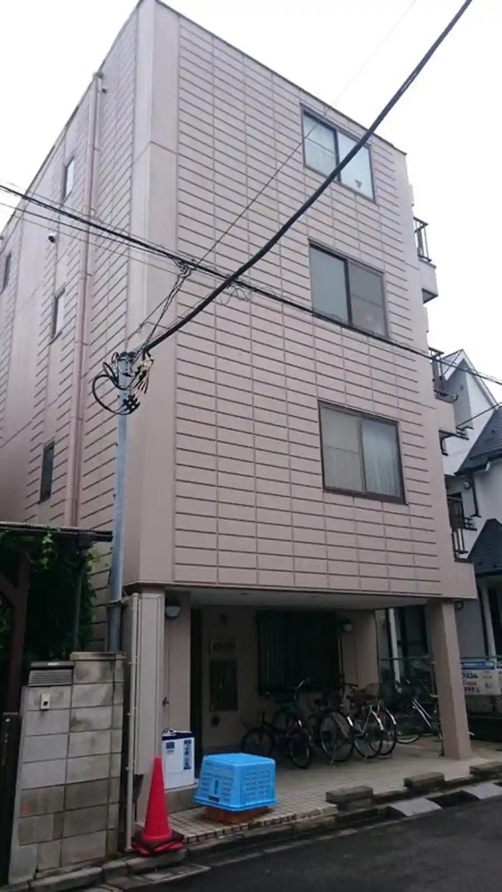 NDSシラカシ 外観