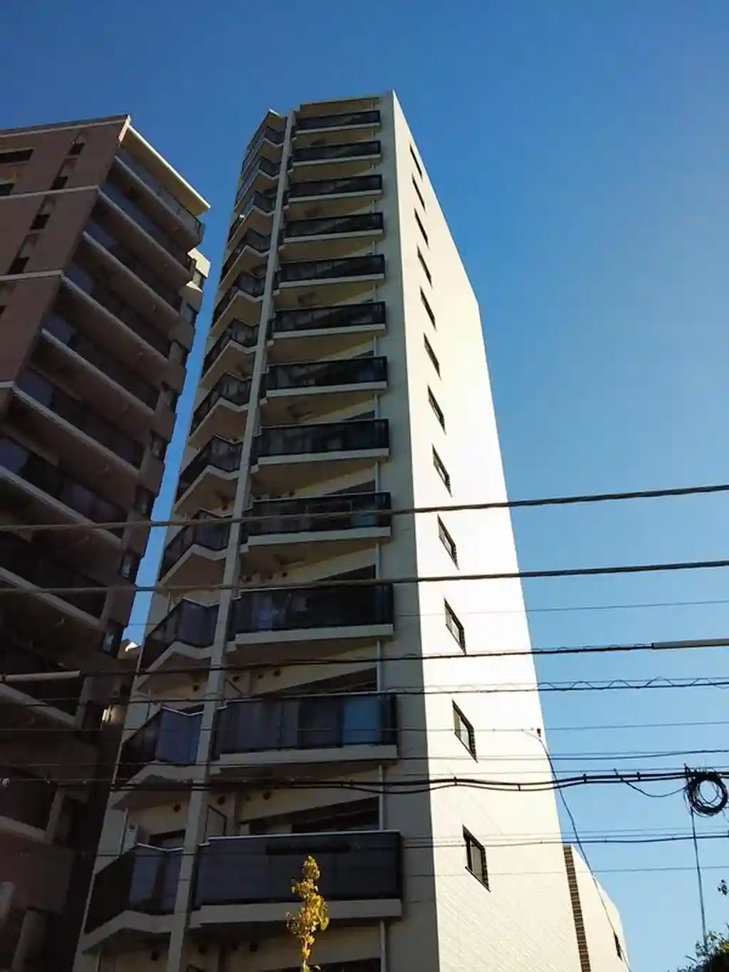 ZOOM渋谷笹塚 外観