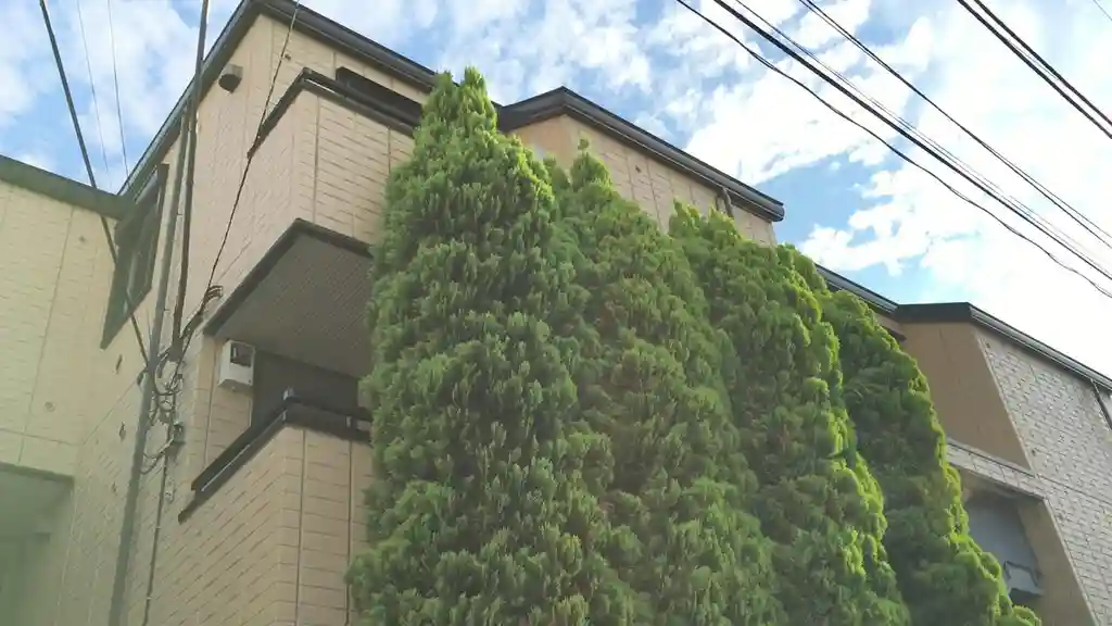 グリーンハウス 外観