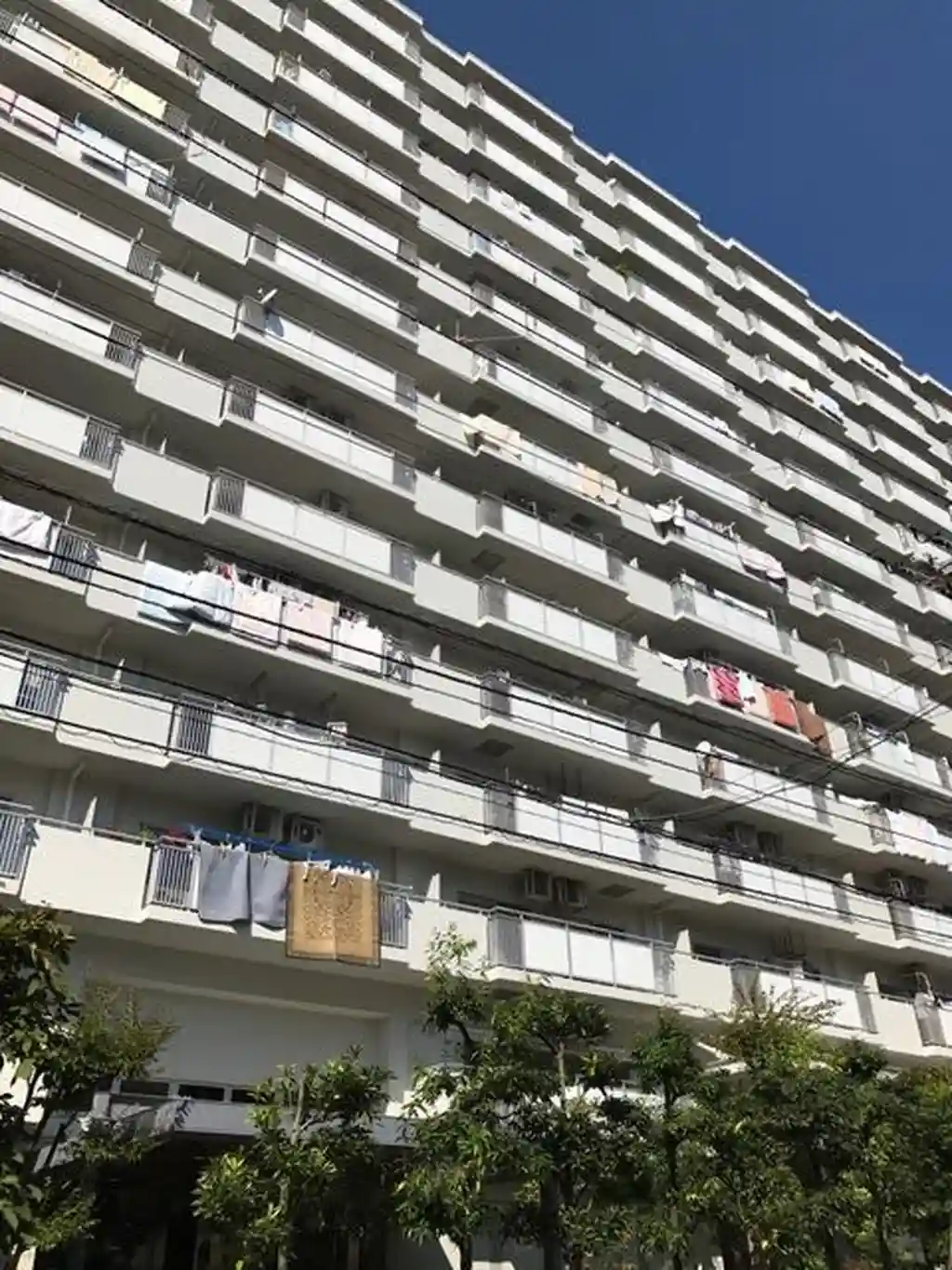 グリーンヒル西葛西2号館 外観