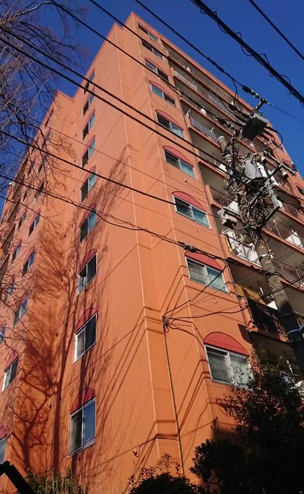 クォリティ大山 外観