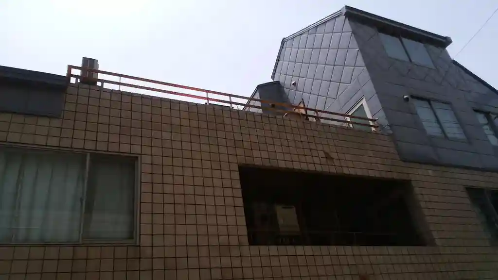 ネオハイツヴェルビュ島津山 外観