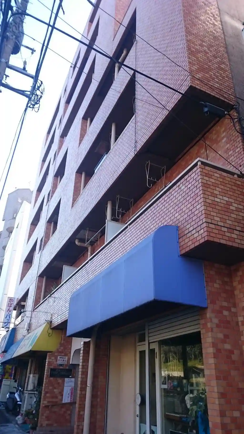 光建ハイムブリリアンス飛鳥山公園 外観