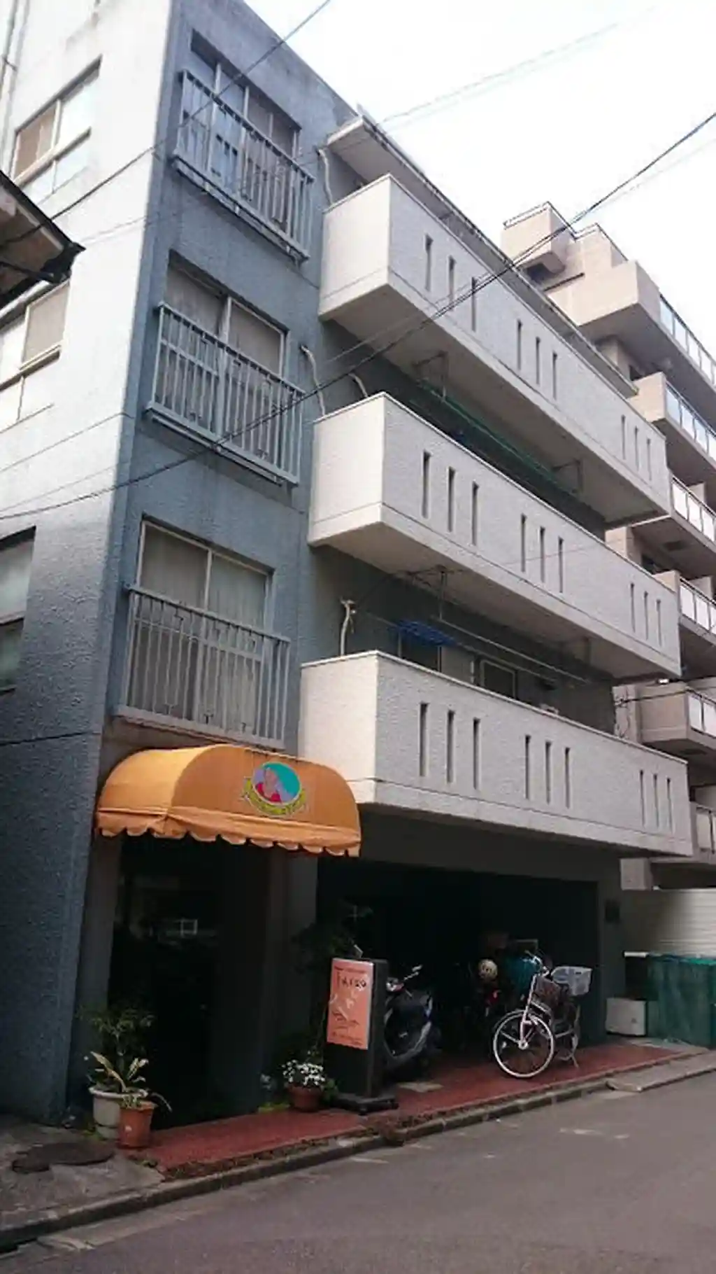 ドミノウラワ 外観