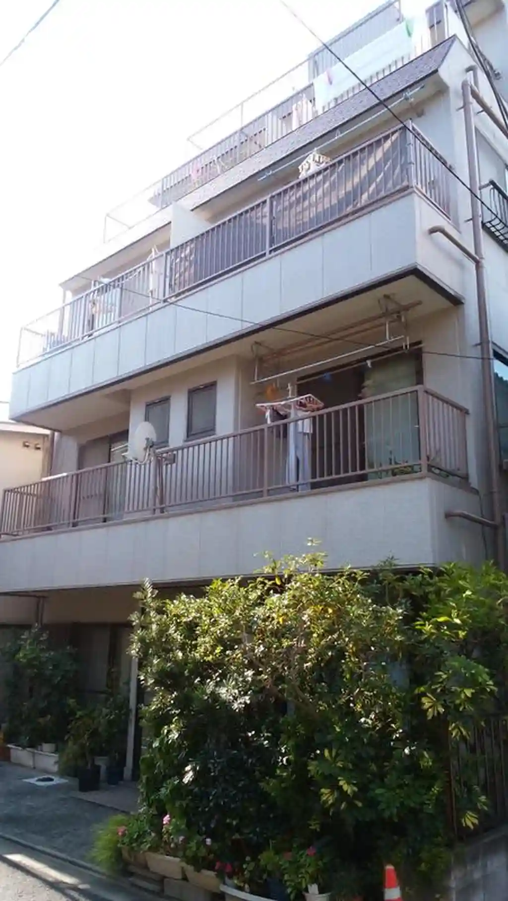 パショリ白金 外観