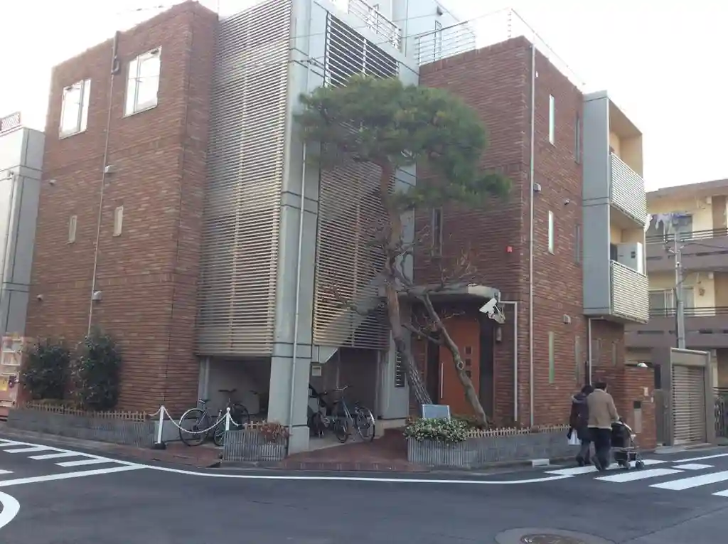 マジェスティ学芸大学 外観