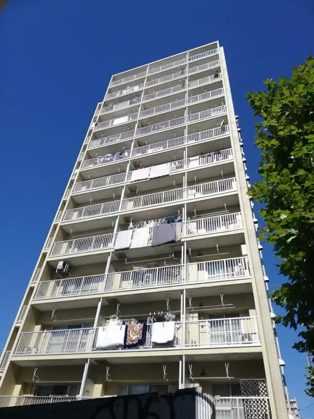 サーラ442マンション 外観