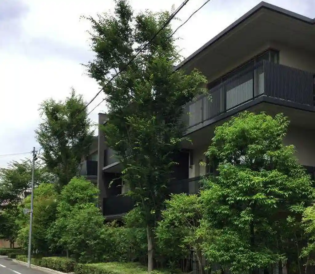 リーフィアレジデンス等々力 外観