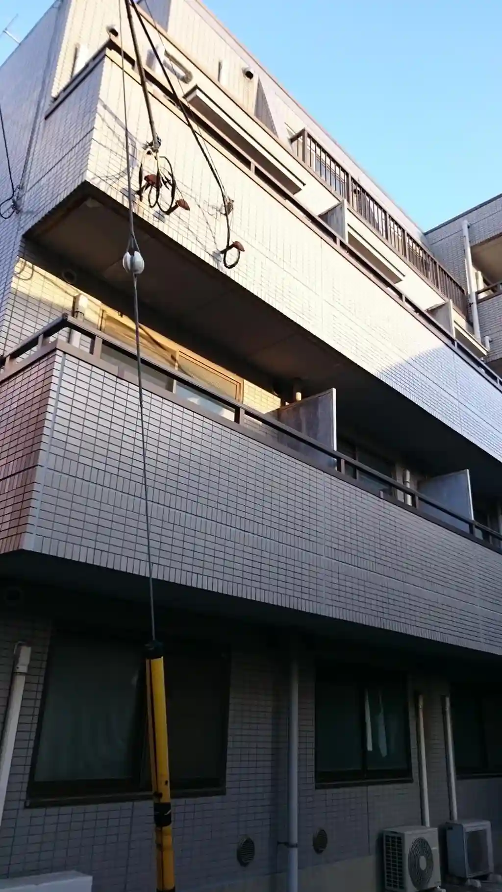 シャトレレグルス 外観