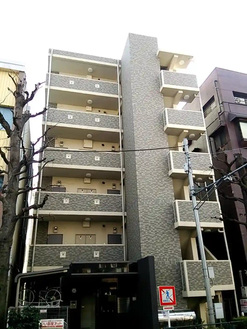 バムブーグラス 外観
