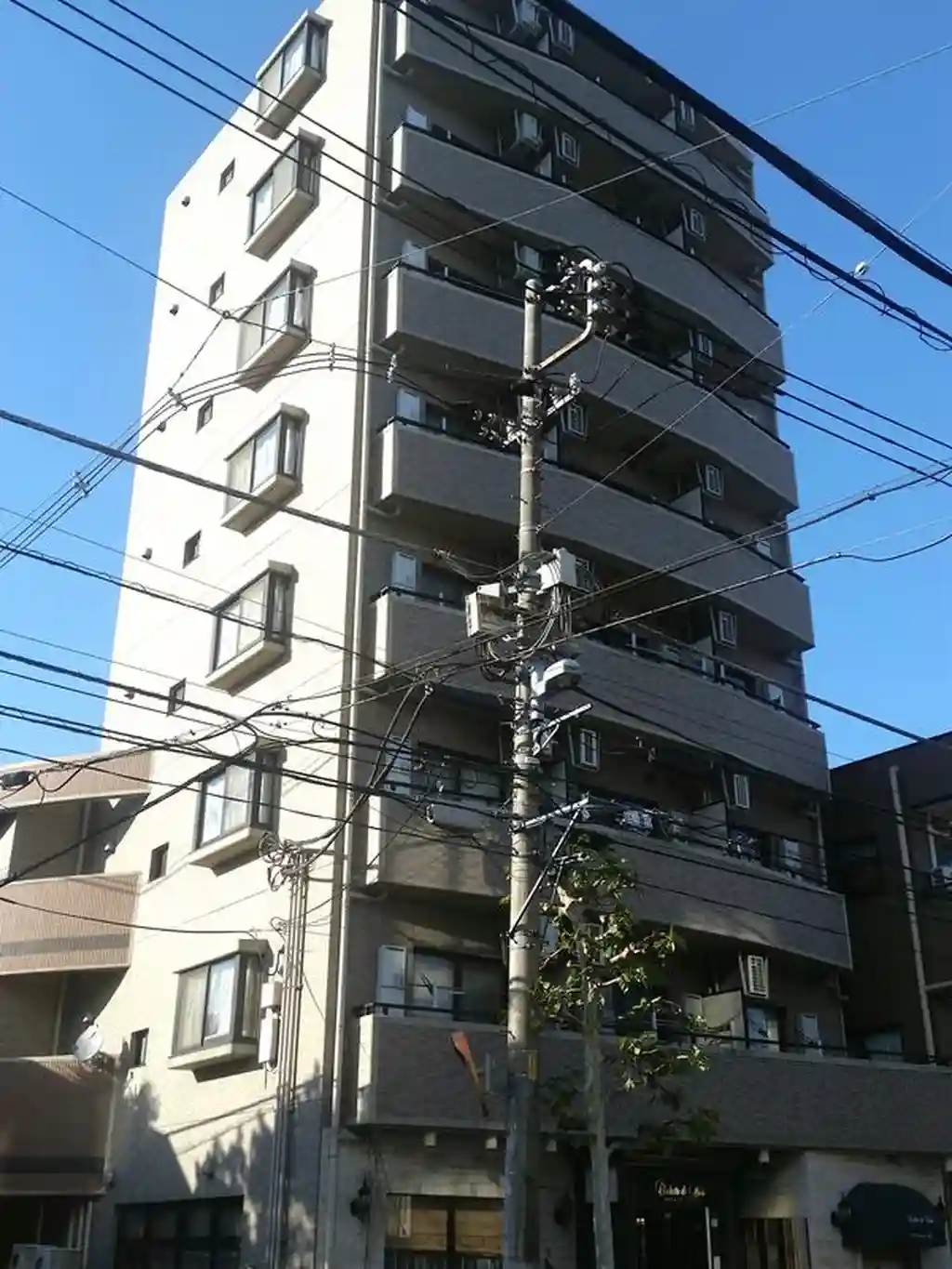 パーシモン 外観