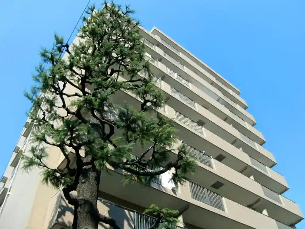 ラフィーネ阿佐谷 外観