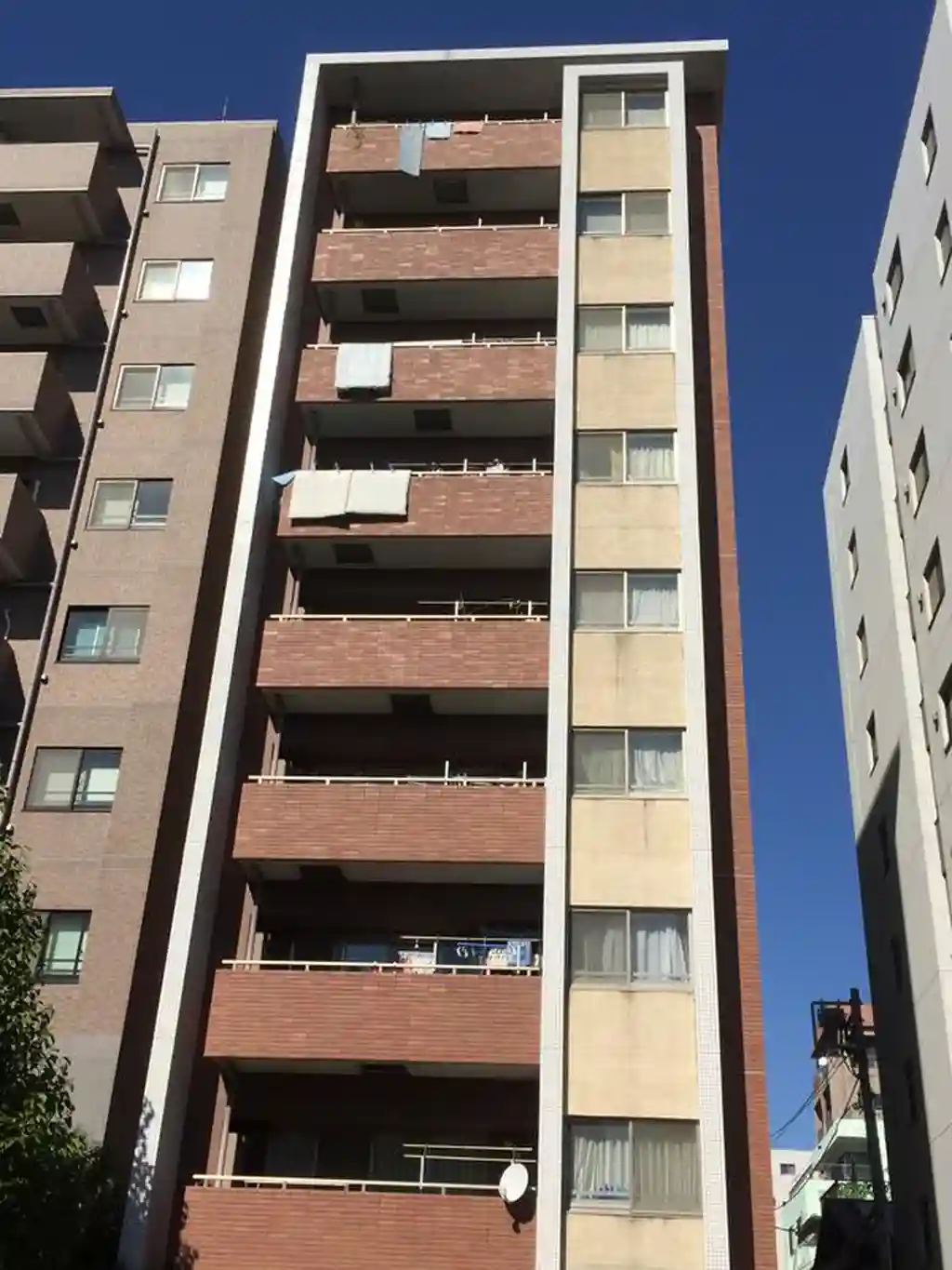 アスコットパーク錦糸町Grace 外観