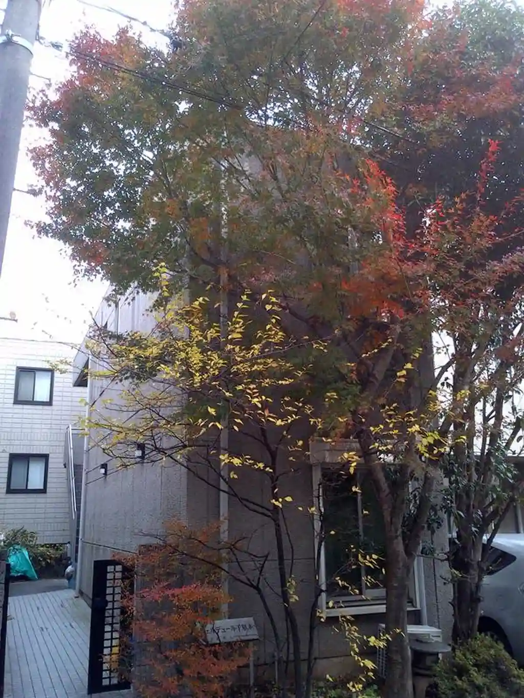 ヴェルデュール千駄木 外観