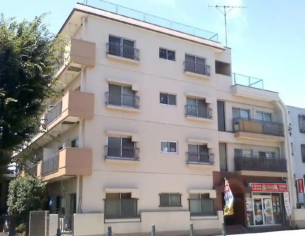スカイハイツ清新 外観