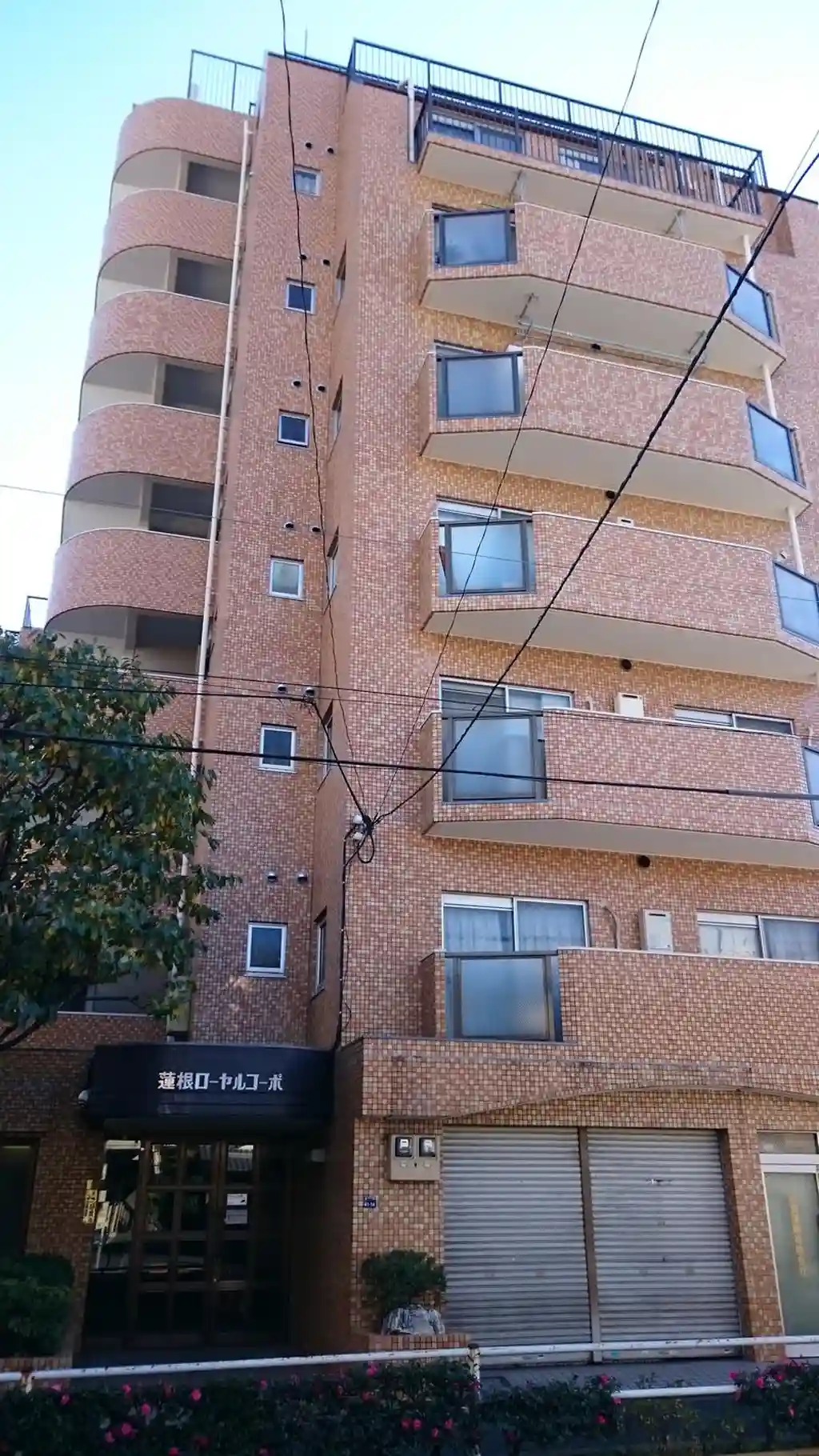 蓮根ローヤルコーポ 外観