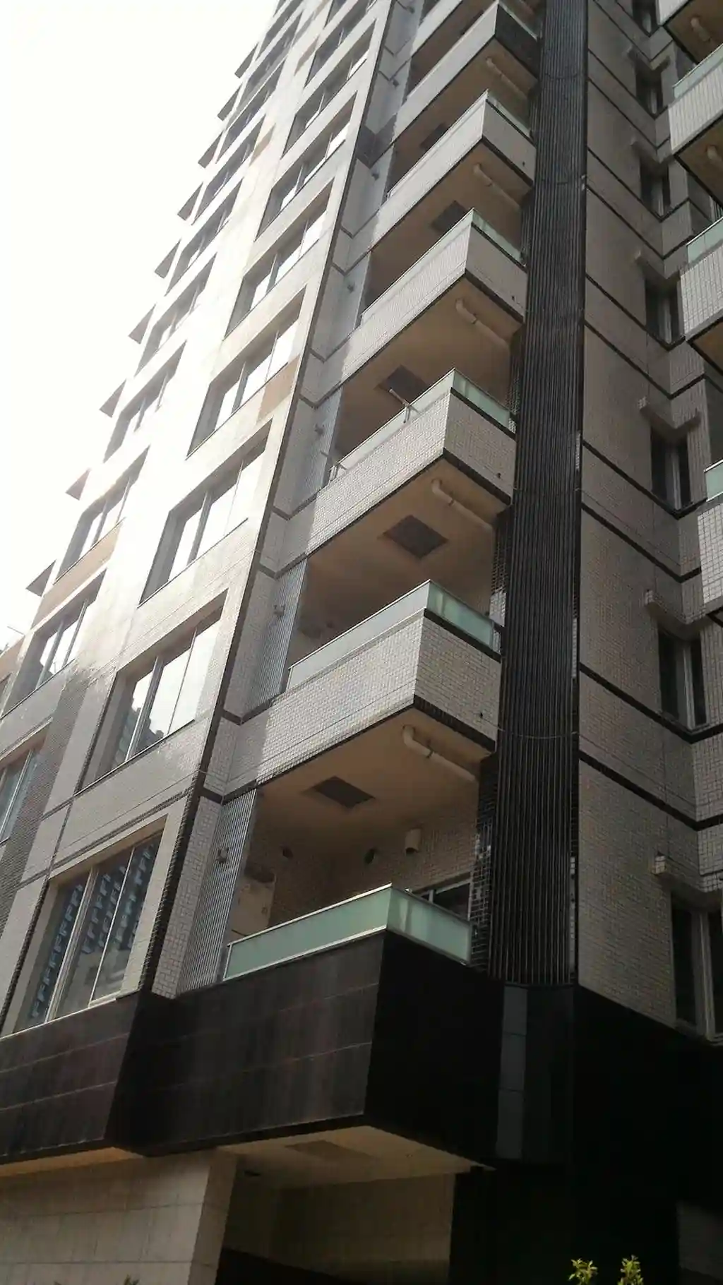 ジオ西新宿ツインレジデンスWEST棟 外観