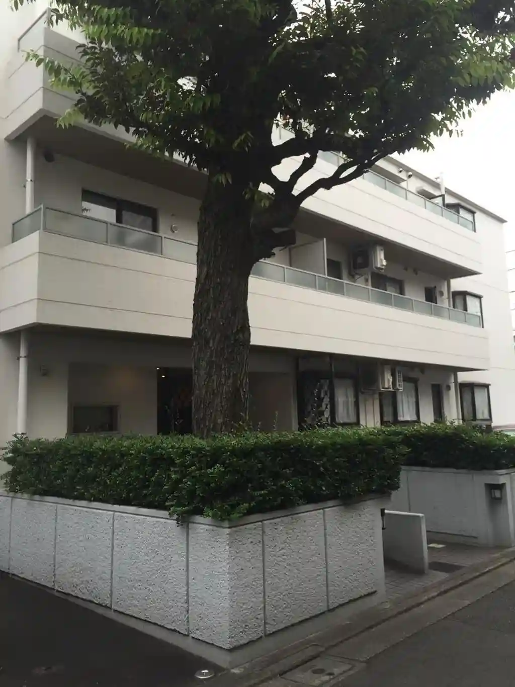 中野桃園パークハウス 外観