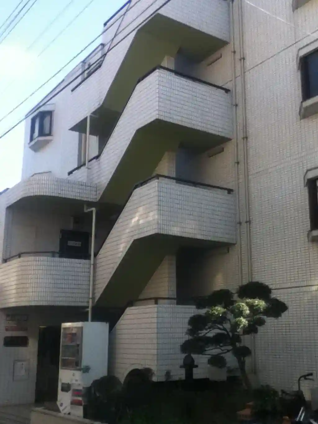 スカイコート向島2 外観