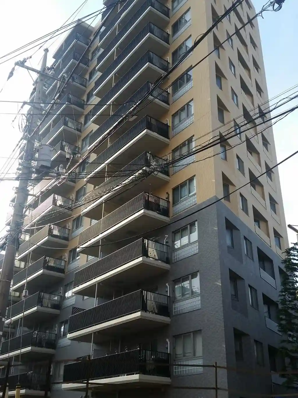 向ヶ丘遊園パーク・ホームズ 外観